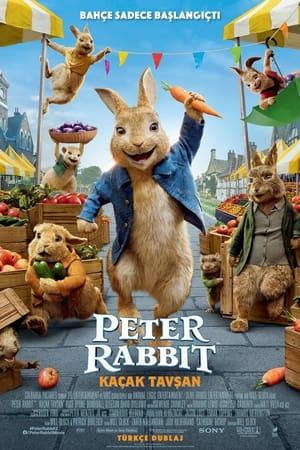 Peter Rabbit Kaçak Tavşan izle