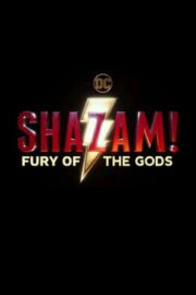 Shazam! 2 Tanrıların Öfkesi