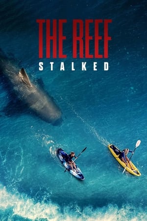 The Reef: Stalked izle