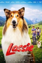 Lassie Ein neues Abenteuer